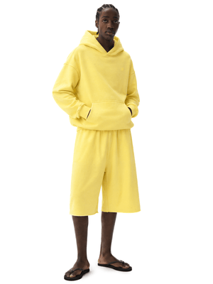 Palette Heavyweight Boxy Hoodie